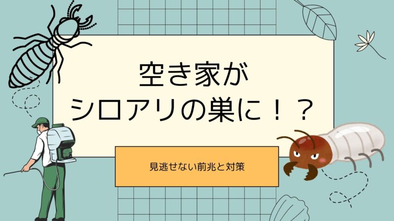 空き家　シロアリ被害
