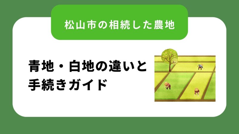 松山市の相続した農地｜青地・白地の違いと手続きガイド